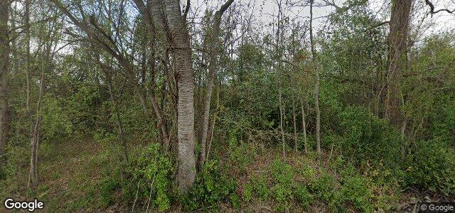 118 Kings Drive（加拿大曼尼托巴省溫尼伯市）房屋照片