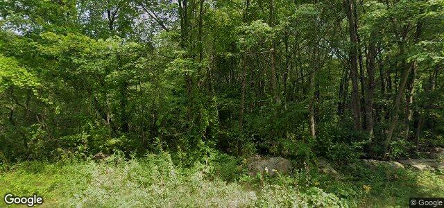 1 Forest Park Drive（加拿大曼尼托巴省温尼伯市）房屋照片