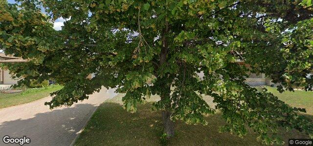 Larawan ng 99 Belton Street sa Winnipeg, Manitoba