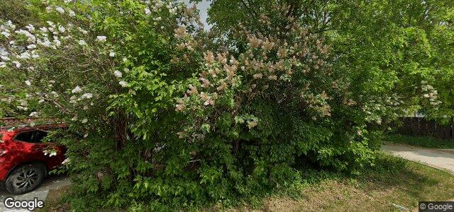 Larawan ng 1055 Royse Avenue sa Winnipeg, Manitoba