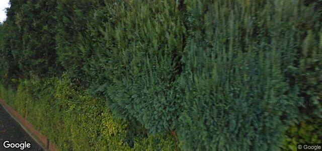 8 Millfield Drive（加拿大曼尼托巴省温尼伯市）房屋照片