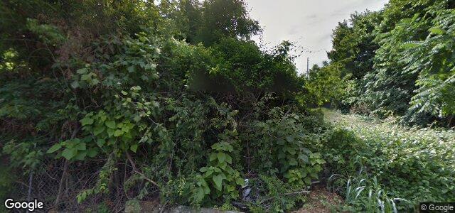 247 Chelsea Avenue（加拿大曼尼托巴省温尼伯市）房屋照片