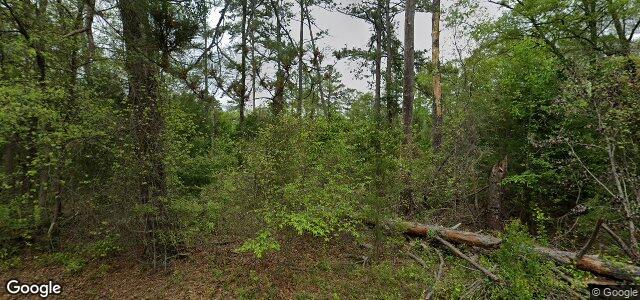 118 Granville Street（加拿大曼尼托巴省溫尼伯市）房屋照片