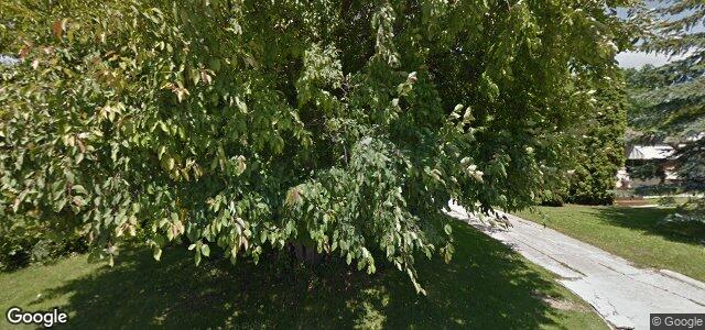 11 Virden Crescent（加拿大曼尼托巴省温尼伯市）房屋照片