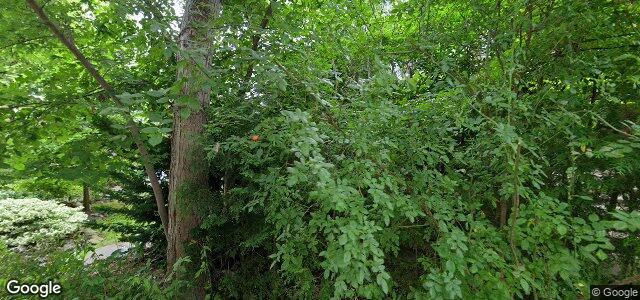 Larawan ng 23 Lauder Avenue sa Winnipeg, Manitoba