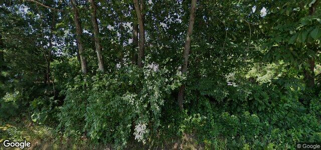 Larawan ng 248 Sutton Avenue sa Winnipeg, Manitoba