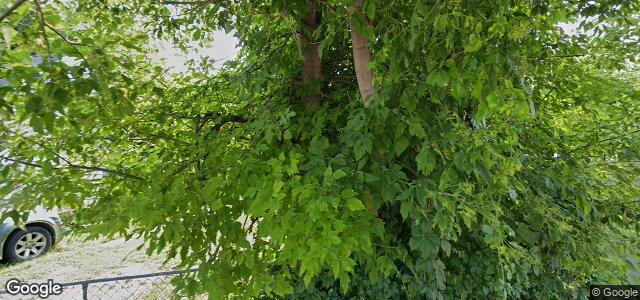 Larawan ng 294 Scotia Street sa Winnipeg, Manitoba