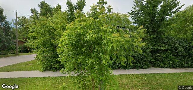 Larawan ng 146 Machray Avenue sa Winnipeg, Manitoba