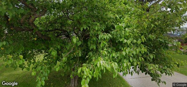 Larawan ng 11 Coleridge Park Drive sa Winnipeg, Manitoba